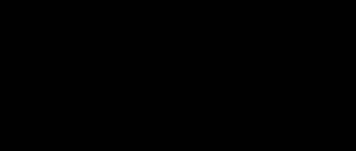 pm 8 logo
